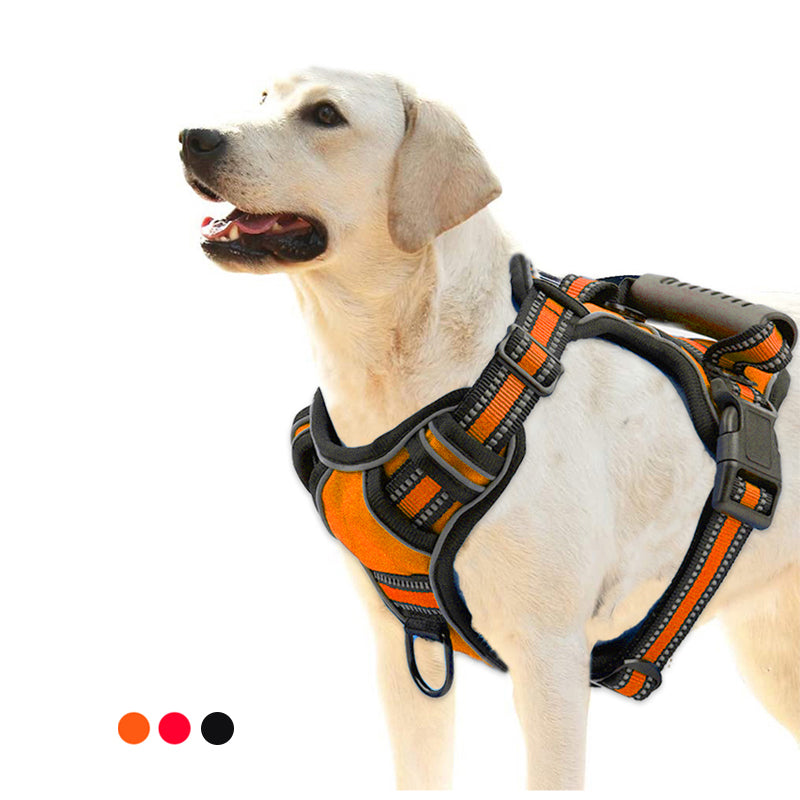 No-Pull Dog Harness – Stop Pulling Instantly & Enjoy Calm Walks